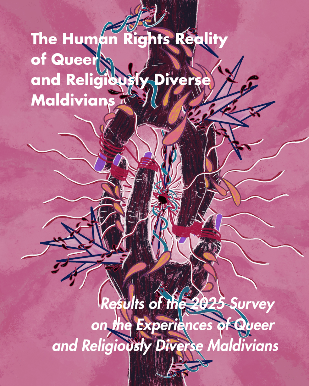 The Human Rights Reality of Queer and Religiously Diverse Maldivians (Results of the 2025 Survey on the Experiences of Queer and Religiously Diverse&nbsp;Maldivians)